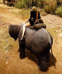 Great desert sands do not impede the elephant 28.01.2013 · if you are looking for purely fast desert travel mini elephant may be better, but i'm. Black Desert Miniature Elephant Mount Guide Mmo Guides Walkthroughs And News