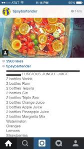 Lena abraham senior food editor lena abraham is the senior food editor at delish, where she develops and styles recipes for video and photo, and also stays on top of current food trends. Jungle Juice Recipe Best Recipes Around The World Best Jungle Juice Recipe Jungle Juice Recipe Jungle Juice Recipe Cheap