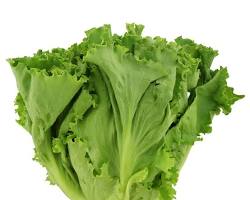 Image of Greenleaf Lettuce