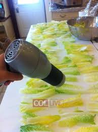 Image result for stringencies