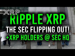 However, the sec suit is alleging that xrp is a security based on the internal correspondence and marketing efforts of ripple, brad garlinghouse, and all three were aware that xrp was dangerously close to being classified as a security under the howey test, yet they went on to engage in practices. Dzgukcm0z X8am