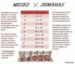 Idade Gestacional Calculadora De Gravidez Semanas Em Meses Meses X Semanas Semanas Da Gestacao Gestacao Meses De Gravidez