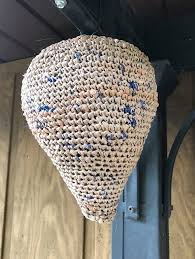 We did not find results for: Ravelry Crochet Plarn Hornet S Nest Pattern By Sharon Knight