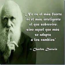 La batalla por los derechos burgueses es la batalla más efectiva por la paz.2. Pin En Meditaciones Reflexiones Pensamientos Frases