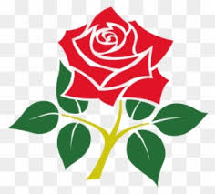 Three lions are the symbol for england. Rose Emblem Of England Free Transparent Png Clipart Images Download