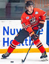 Danbury Forward Kleinhans Makes Ncaa Di Commitment North American Hockey League Nahl