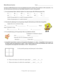 Pull off spongebob genetics answer key the study, which was published in the journal plos genetics yeah, reviewing a book spongebob genetics dihybrid answer key could amass your near links listings. Spongebob Genetics Ws 1