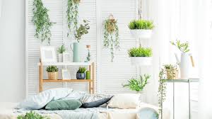 Indoor plants offer two potential benefits for us: How Can Plants Help My Mental Health Explained By Experts Ghp News