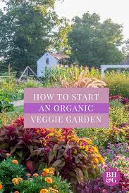 Follow These Tips For A Healthy Organic Veggie Garden Organic Vegetables Organic Gardening Organic Gardening Tips