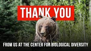 Thank You For Fighting For The Wild In 2018 Fight Save Wildlife Wild