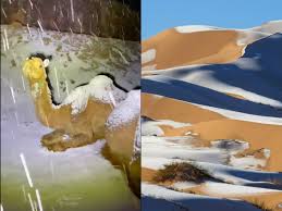 A historic low pressure system impacting #hawaii with strong gusty winds, rain squalls and high surf will slowly drift ne of the read more: Watch Camels Look Confused As Snow Storm Hits Northern Parts Of Saudi Arabia