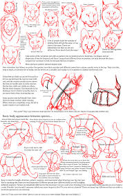 Big Cat Anatomy Sketches Cat Anatomy Anatomy Sketches Animal Drawings