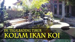 Jika iya, maka selain akuarium, kolam ikan minimalis dalam rumah bisa menjadi alternatif yang manjur untuk menyalurkan hobi anda. Kolam Ikan Koi Minimalis Buatan Sendiri Youtube
