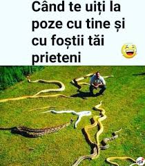 Foștii Tăi Prieteni Viral Pe Internet Memes Of The Day Funny Pictures Friends Funny