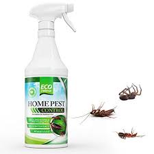 O ecopest oil blocks the pest insects breathing air holes (spiracles) and lines their breathing tubes how is it sold: Eco Defense Organic Home Pest Control Spray Kills Repels Ants Roaches Spiders And Other Organic Pest Control Organic Pest Pest Control