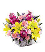 As your online floristry destination, we make choosing the perfect bouquet easy. Flowers To The University Of Texas M D Anderson Cancer Center Houston Texas Tx Same Day Delivery To Campus And Dormitories By A Local Florist In Houston