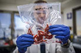 They delegate their stake of a currency to a stake pool and that stake pool would use the delegated currency in the same sense that energy is used by miners to be selected to record a block on the ledger. Halal Or Haram For Islamic Scholars Alt Meat Is Unfamiliar Territory Wired Middle East