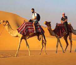 It's very difficult to ride a camel. Camel Safari Ride Dubai Adventures