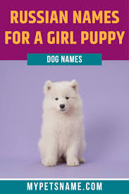 Girl Russian Dog Names In 2020 Dog Names Girl Pet Names Russian Dogs