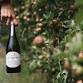 Creswick Market event image