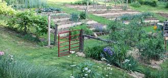 How to design your garden path and advice on for paths with heavy foot traffic, you will need to dig out an additional 4 inches and fill with broken stone or scalpings, then compact it down with a. Looking Between The Beds Vegetable Garden Pathways