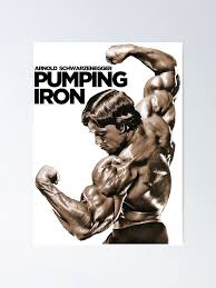 Arnold Schwarzenegger Classic Pumping Iron" Poster for Sale by  VectorDesigner | Redbubble