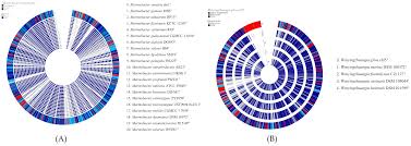 Image result for Suaeda sp. B
