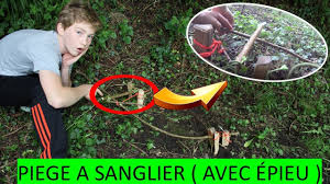 Piege A Sanglier Avec Epieu Youtube
