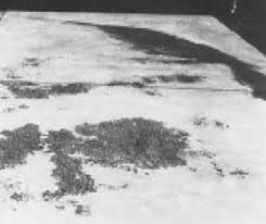 Patch holes or large cracks in the surface with concrete filler. Discoloration What Why How Nevada Ready Mix