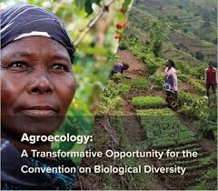 Uncategorized Archives