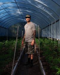 A person who participates in the illegal marketing of marijuana is liable for civil damages caused by these actions. How Legalization Changed Humboldt County Marijuana The New Yorker