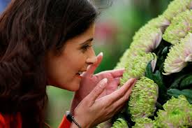 Greenmount College students strike bronze at Chelsea Flower Show