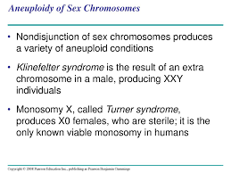 Aneuploidy Of Sex Chromosomes Ppt Download