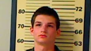 Teens charged with auto burglary, assault