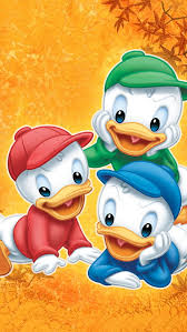 Download free donald duck from section: Donald Duck Funny Hd Wallpaper Peakpx