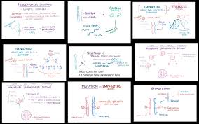 Pin On Genetics