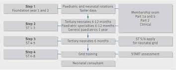 A Career In Neonatology | The Bmj
