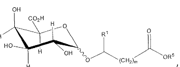 Image result for Synadenium pereskiifolium