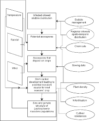 Flow Chart Of A Spatially Explicit Model Aimed To Define