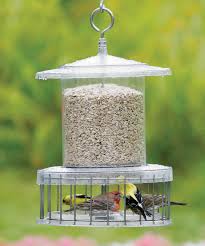 Bird Feeder For Large Birds Duncraft Com All Weather Feeder With Wire Cage Bird Feeders Wild Bird Feeders Squirrel Proof Bird Feeders