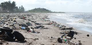 Plastic pollution quiz · what happens to plastic waste when left in the environment? Trivia Quiz On Pollution Proprofs Quiz