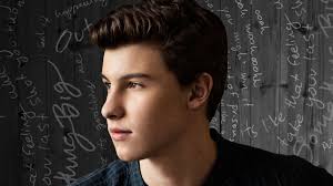 We hope you enjoy our growing collection of hd images to use as a background or home screen for your. Shawn Wallpaper Adam Lambert And Shawn Mendes 1920x1080 Wallpaper Teahub Io