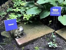 Harry Potter Garden Harrypotter Garden Storybook Gardens Desert Garden Garden