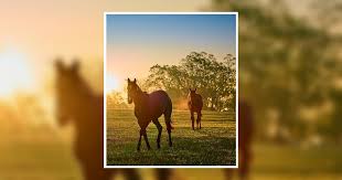 Ken Tim Corey Obituary January 17, 2025