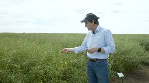 LibertyLink technology, Longerenong VIC