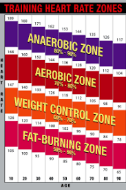 Training Heart Rate Zones Chart Bright Poster