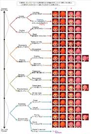 Acnl Hair Style Chart Animal Crossing Hair Animal