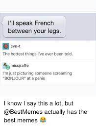 I Ll Speak French Between Your Legs Cvn T The Hottest Things I Ve Ever Been Told Missjraffe I M Just Picturing Someone Screaming Bonjour At A Penis I Know I Say This A Lot But