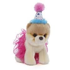 Itty Bitty Boo Tutu 5 Boo The Dog Itty Bitty Boo Boo Plush