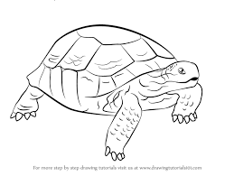 Pin On Learn To Draw